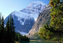 黑白竞猜- 风云突变！多伦多猛龙今晨复出首秀，德甲版图或变，引发热议，心理建设被强调